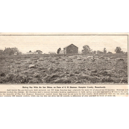 Making Hay Farm of G.W. Sherman Hampden Cty MA 1905 Magazine Ad AF1-NEH