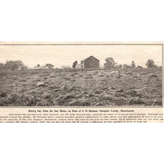 Making Hay Farm of G.W. Sherman Hampden Cty MA 1905 Magazine Ad AF1-NEH