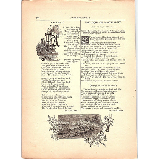 Farragut Chas De Kay, Soliloquy on Immortality Joseph Addison 1884 Poem TA5-CJ-5