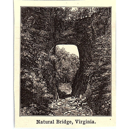 Natural Bridge in Virginia 2x3" 1901 Engraving AF6-M9