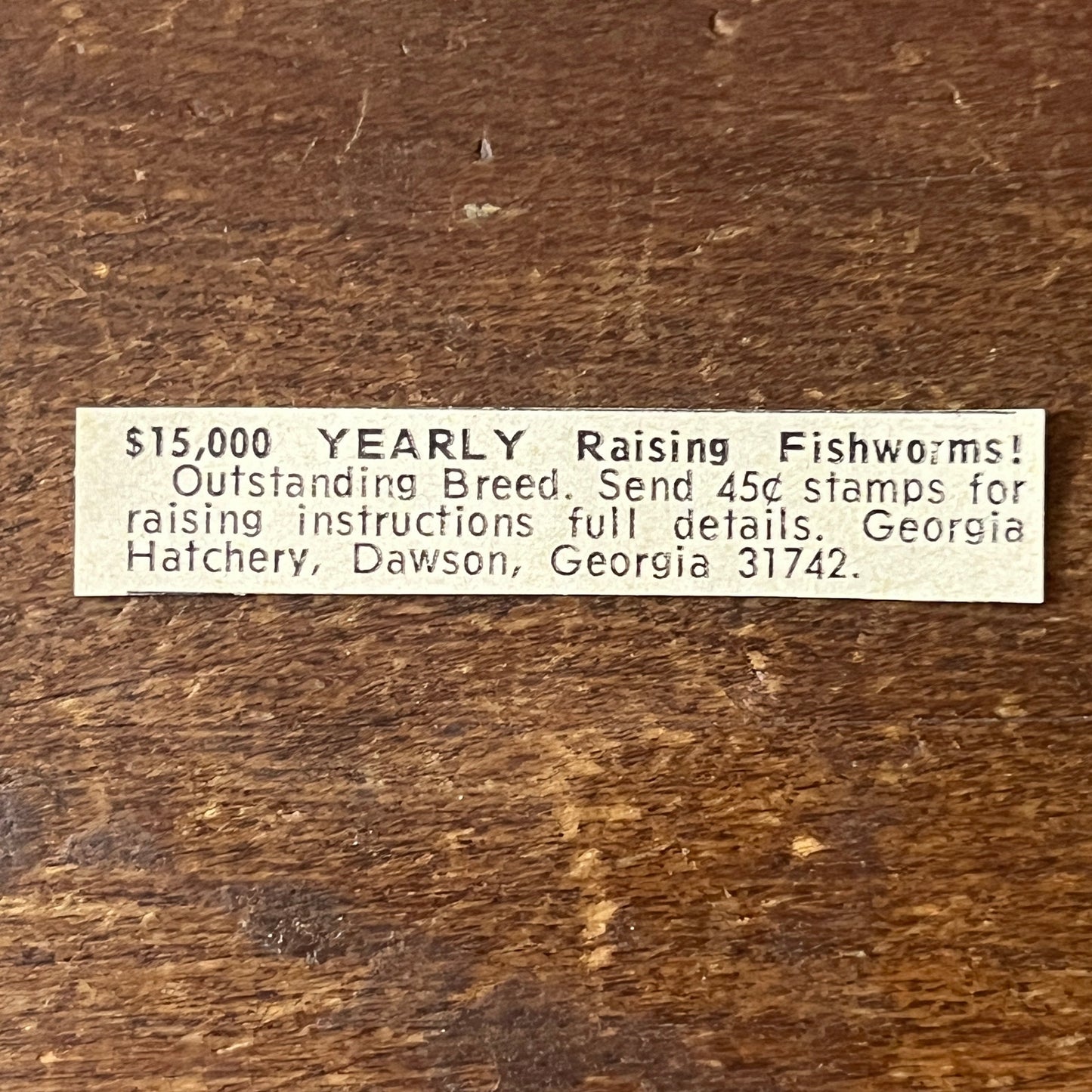 Georgia Hatchery - Raising Fish Worms - Dawson GA 1977 Ad AF6-S6
