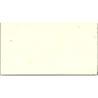 Moskatrel's, Madison Florist Supply Los Angeles, CA Vintage Business Card SF3-B8