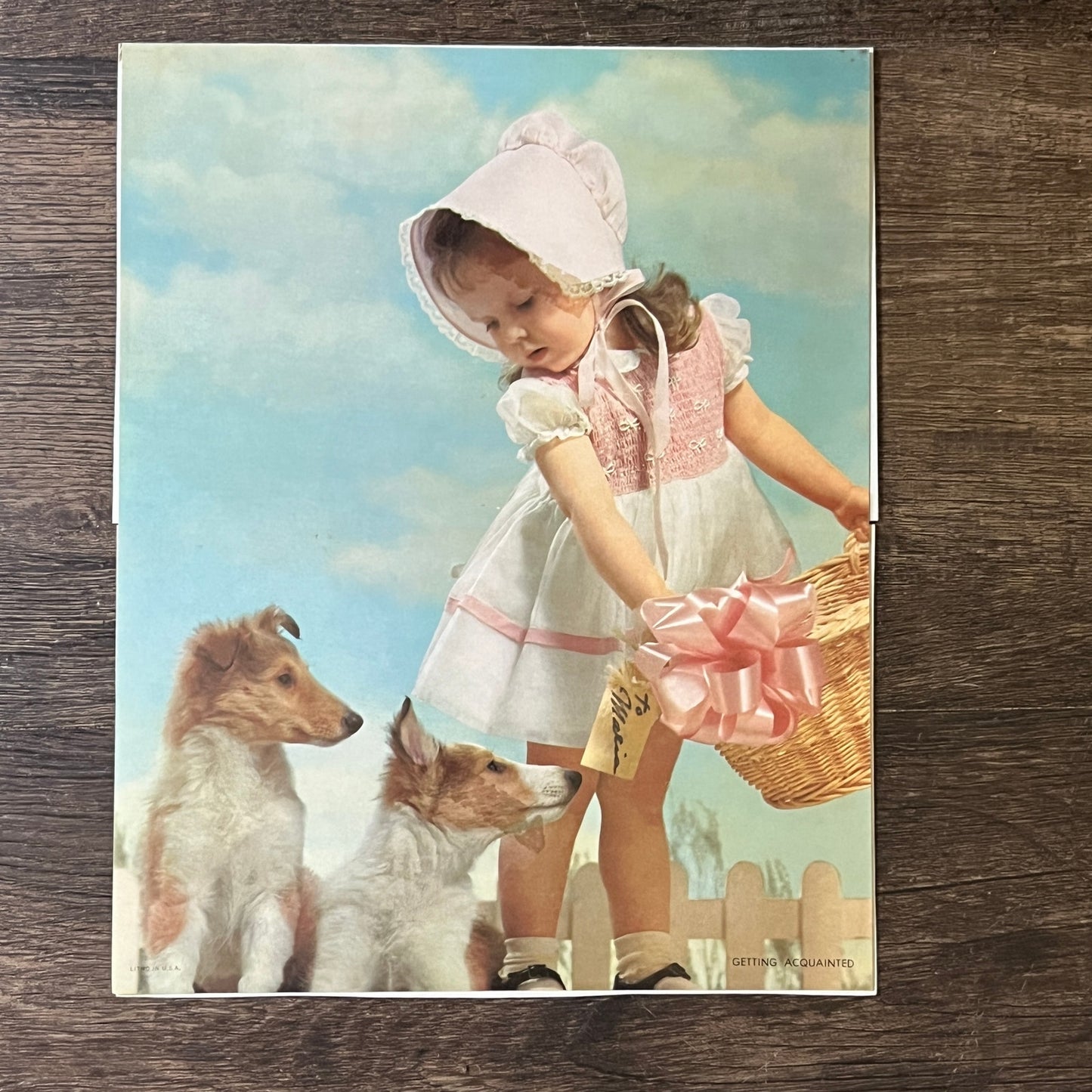 Little Girl in Bonnet With Baby Collie Puppy Dogs Kitsch 8x10 Vintage Print V2