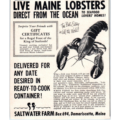 Live Maine Lobsters Saltwater Farm Damariscotta ME 1951 Magazine Ad AF1-MF1