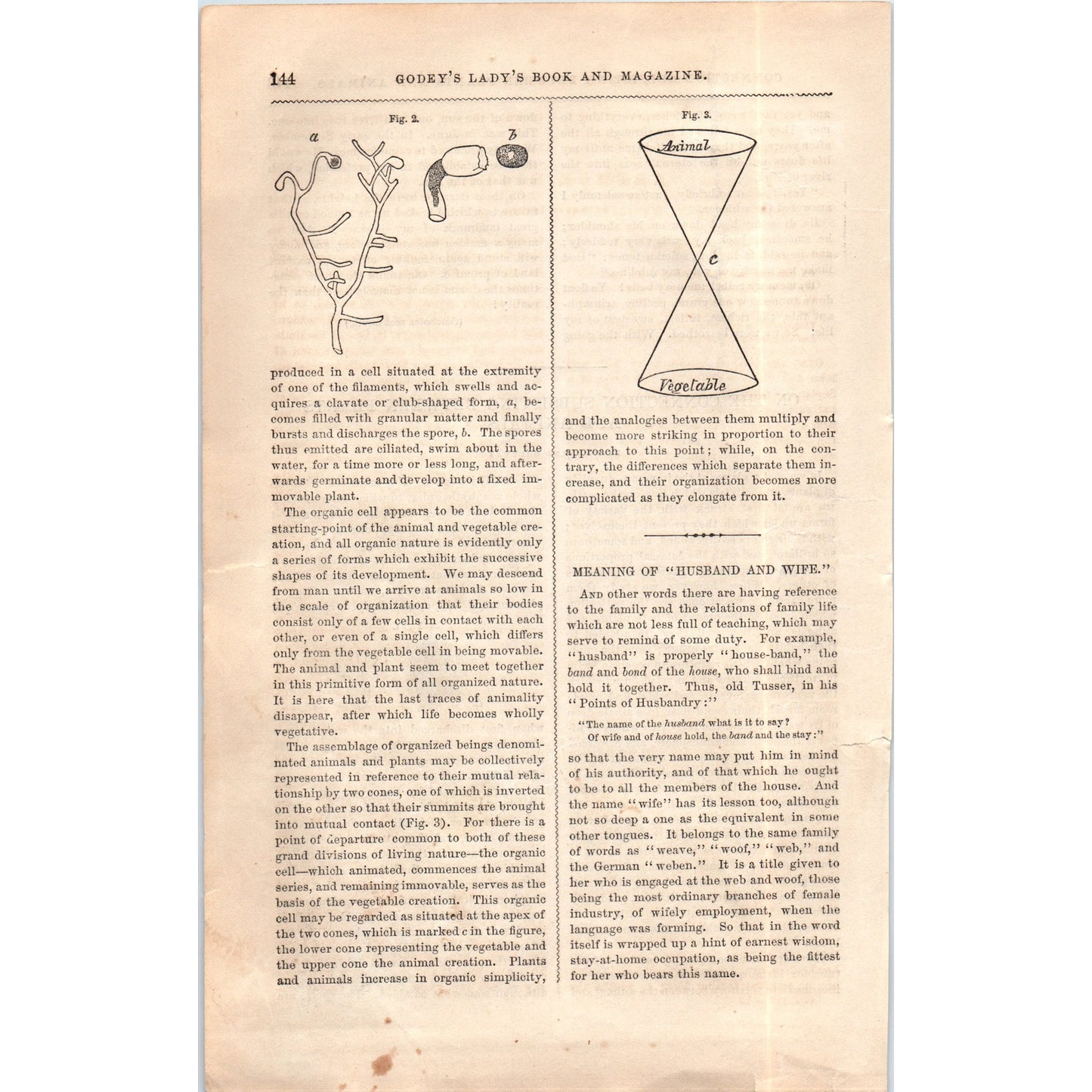 1857 Article The Connection of Subsisting Between Plants & Animals Coultas D19-5