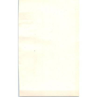 Turtle Dove Bird 1903 Original Color Engraving Plate Print AD8-B4