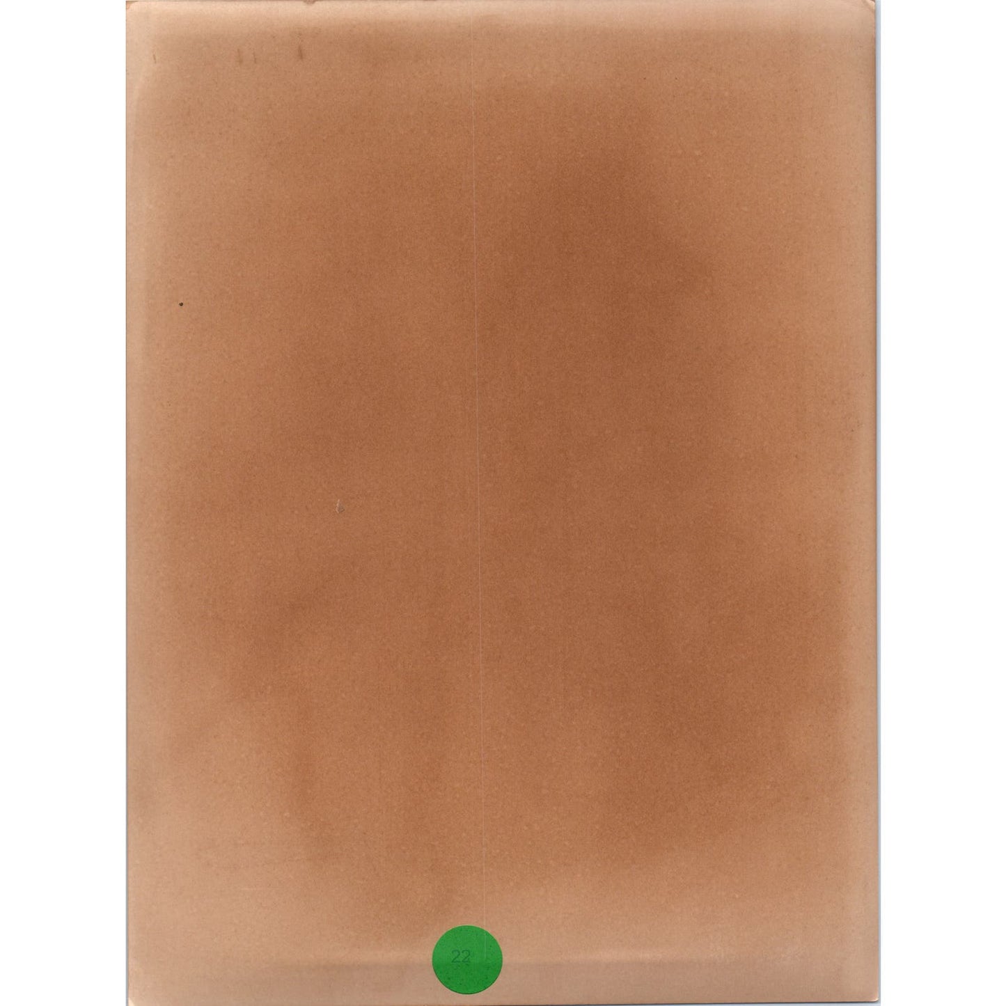 Caroline Kennedy At Party for Andy Warhol 1975 8x10 Original Press Photo D1-P