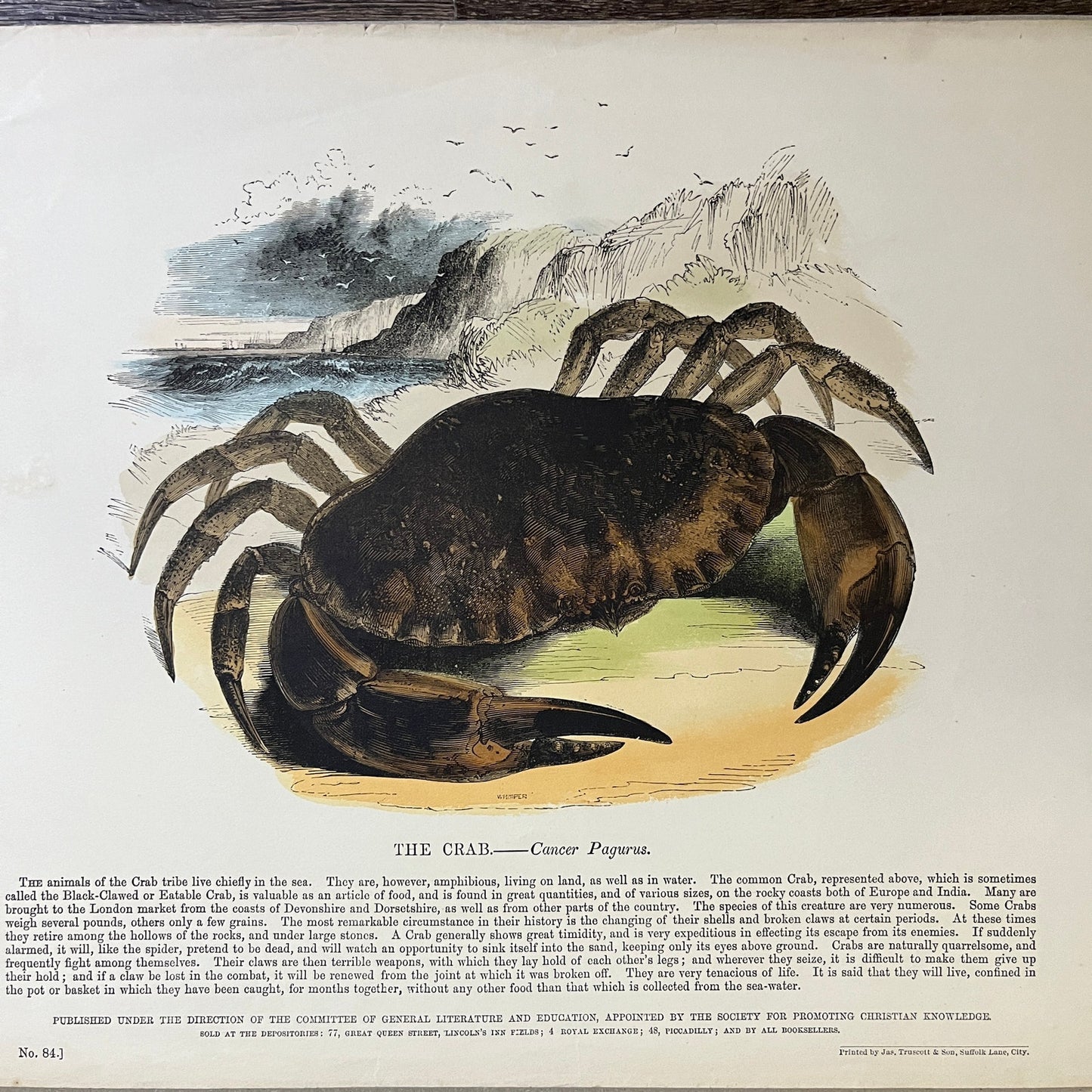 1843 The Crab Engraving Society for Promoting Christian Knowledge 11x15 V3