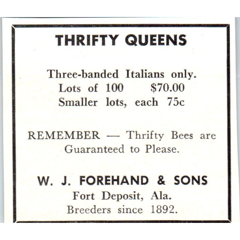 W.J. Forehand & Sons Queen Bees Fort Deposit Alabama 1964 Magazine Ad AK5-S36