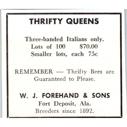 W.J. Forehand & Sons Queen Bees Fort Deposit Alabama 1964 Magazine Ad AK5-S36