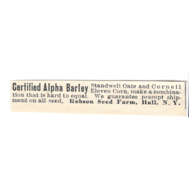 Certified Alpha Barley Robson Seed Farm Hall NY 1924 Ad AG3-S7