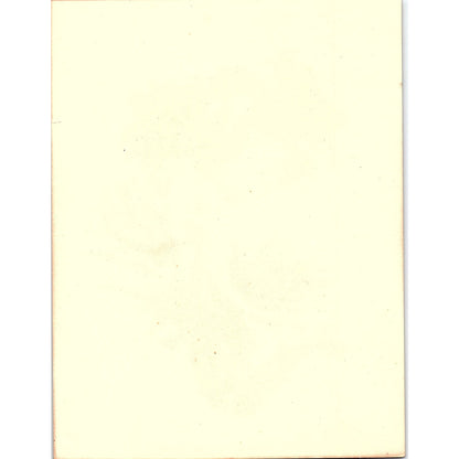 Poppy Lily Flower E A Séguy Wall Art Floral Lithograph Art Print 6x8 V4