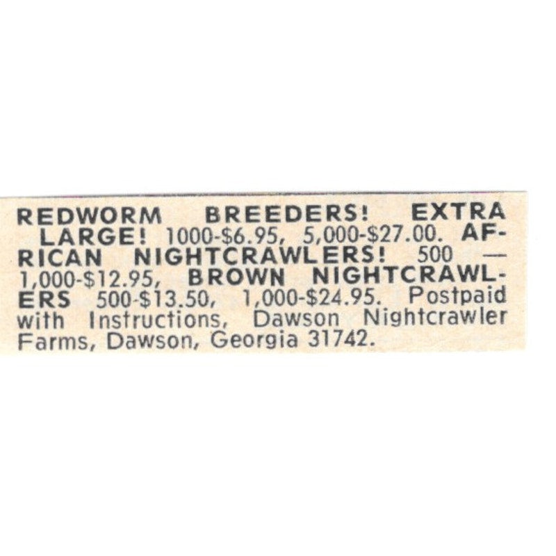 Dawson Nightcrawler Farms Redworm Breeders Dawson GA 1977 Ad AF6-S8