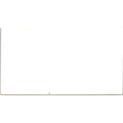 Joe DeBeck Dog Trainer Long Beach CA Vintage Business Card SD8-B15