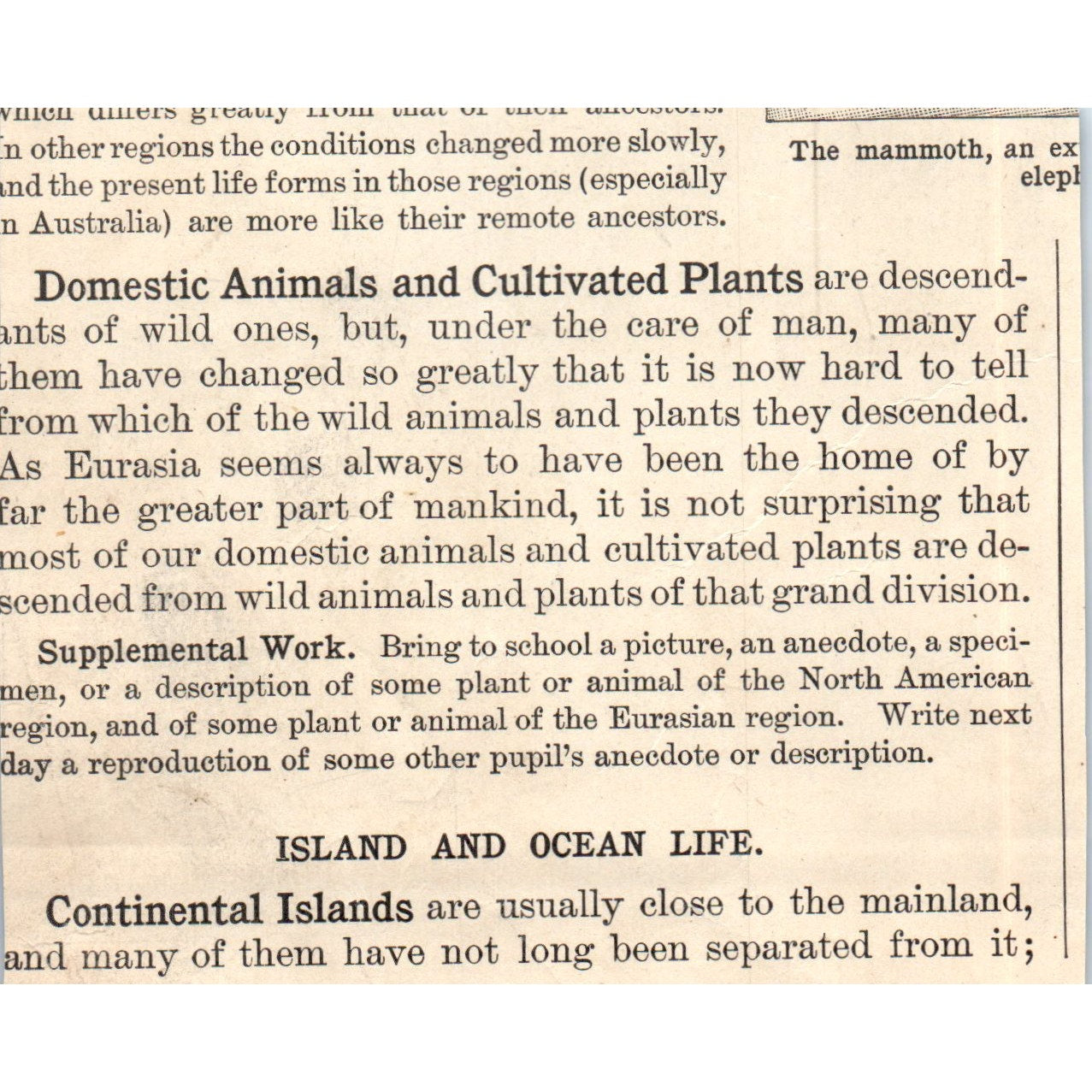 Animals of the Eurasia & North America Moose Camel Grizzly 1901 Engraving AF2-A6