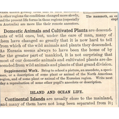 Animals of the Eurasia & North America Moose Camel Grizzly 1901 Engraving AF2-A6