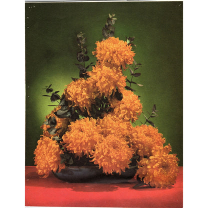 Retro Kitsch Orange Chrysanthemums Mums Flowers Vintage Art Print 8.5x11 V5