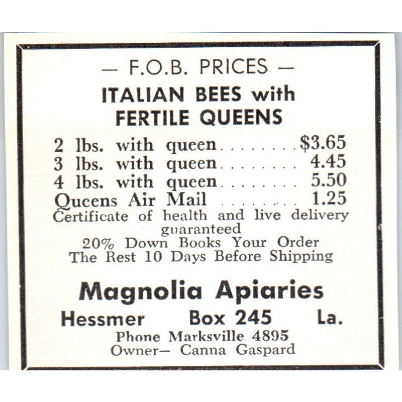 Italian Bees Magnolia Apiaries Hessmer LA 1961 Magazine Ad AB6-S12