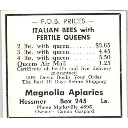 Italian Bees Magnolia Apiaries Hessmer LA 1961 Magazine Ad AK6-S12