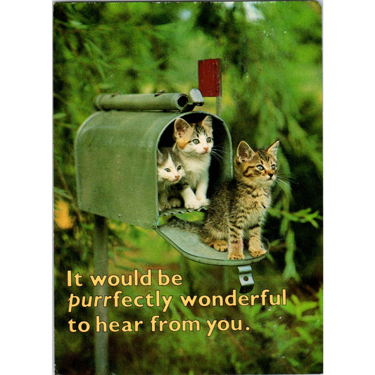 1986 Joseph J. Paradine Dental Reminder Kittens Advertising Postal Card PD7