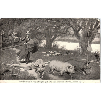 Pomona Rescues English Girls American Hog A.B. Frost Vintage Art Print 3x5 V12