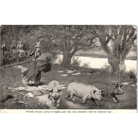 Pomona Rescues English Girls American Hog A.B. Frost Vintage Art Print 3x5 V12