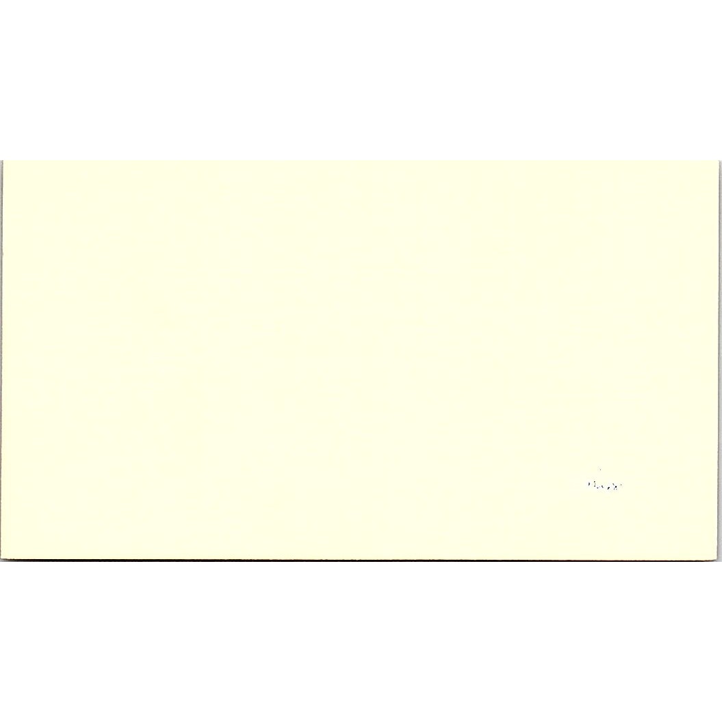 J & M Wallpaper John & Melissa Riddle Home Vintage Business Card SF3-B6