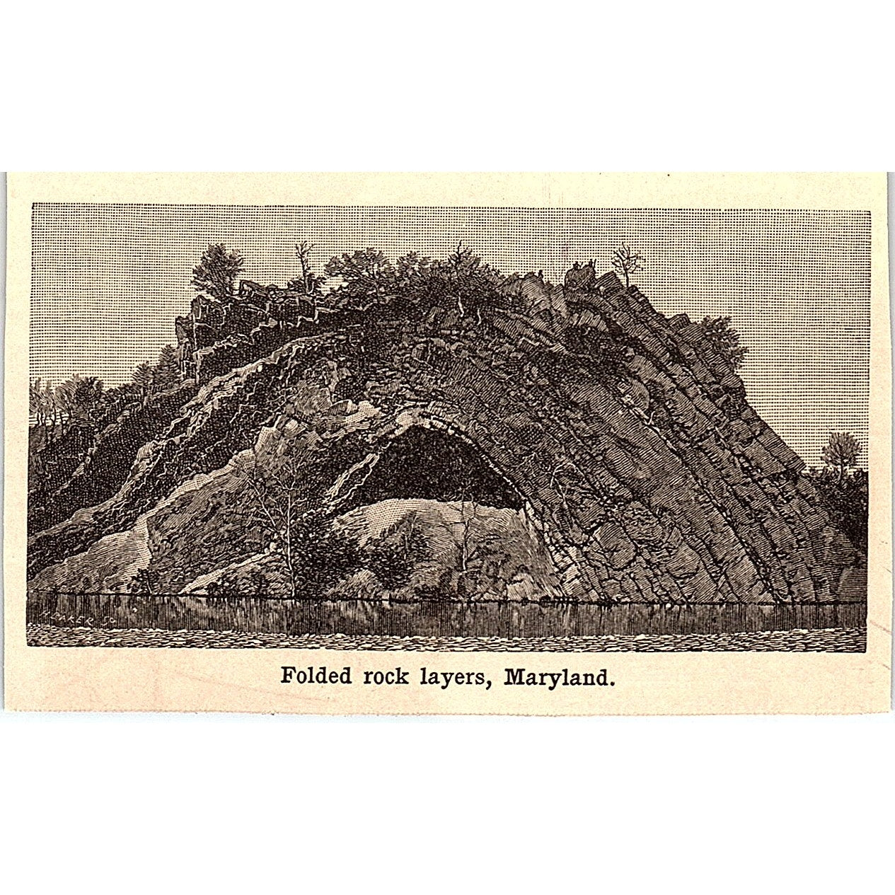 Folded Rock Layers Maryland 3x4" 1901 Engraving AF6-M10