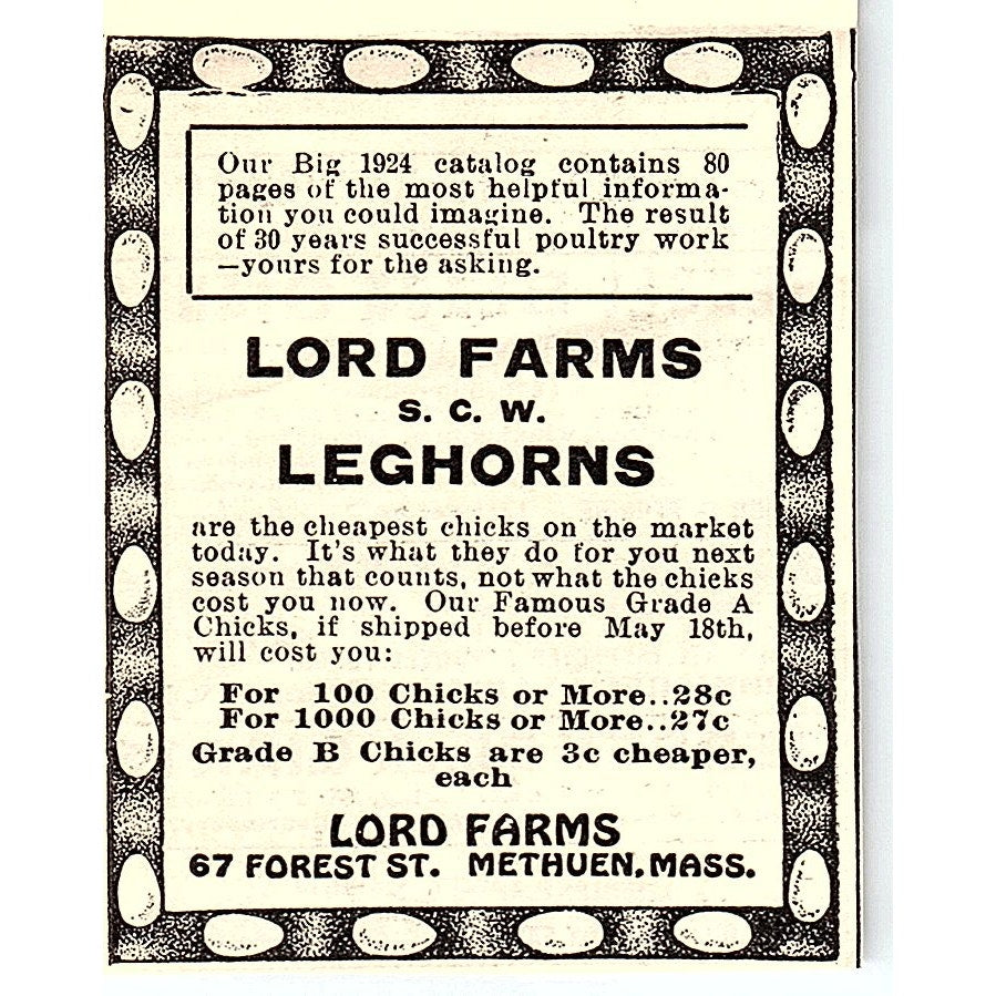 Lord Farms Leghorns Methuen MA 1924 Ad AG3-S16