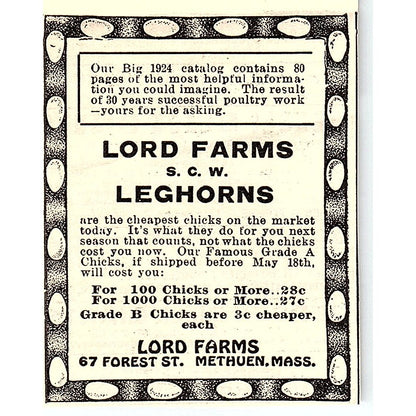 Lord Farms Leghorns Methuen MA 1924 Ad AG3-S16