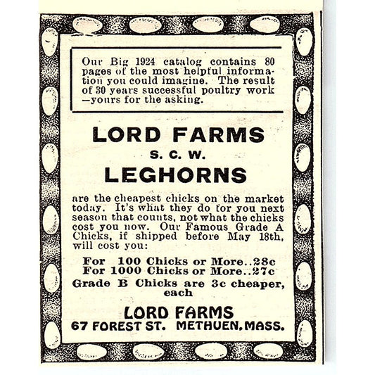 Lord Farms Leghorns Methuen MA 1924 Ad AG3-S16