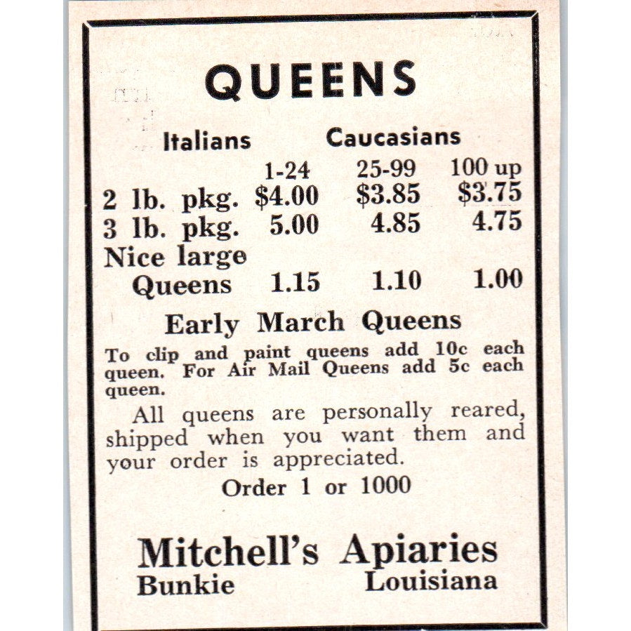 Italian Caucasian Queens Mitchell's Apiarie Bunkie LA 1961 Magazine Ad AK6-S12