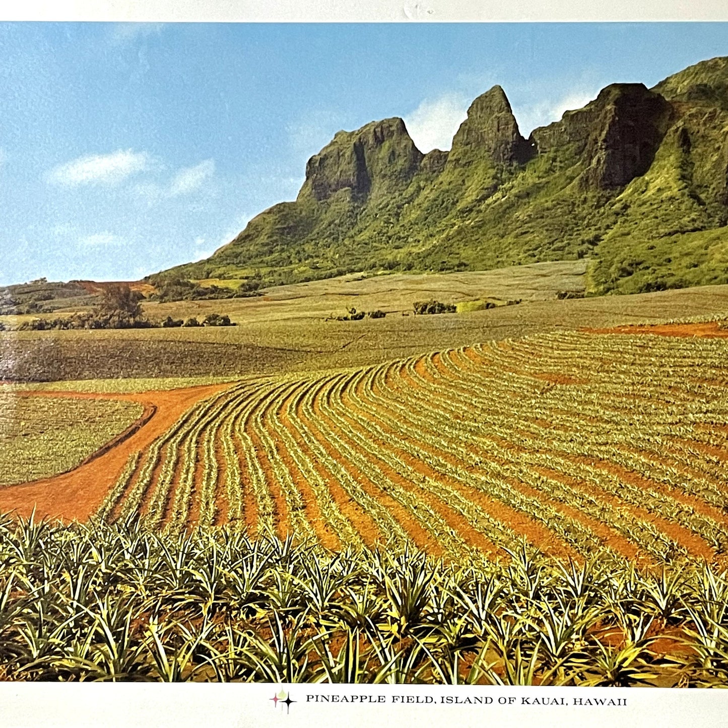 Pineapple Field, Island of Kauai Hawaii Atkeson Vintage Art Print 11x16 V11