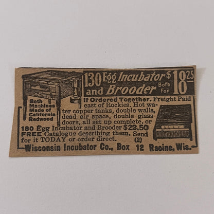 Wisconsin Incubator Co. Egg Incubator Racine WI 1931 Newspaper Ad SAG4-S13