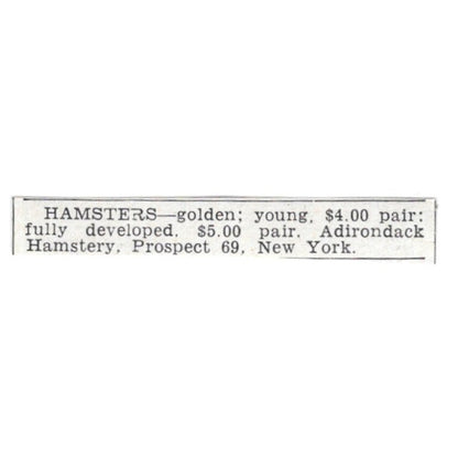 Golden Hamsters - Adirondack Hamstery Prospect NY 1955 Ad AG1-S3