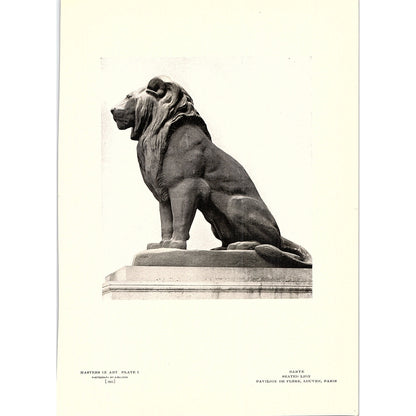 Seated Lion - Barye - 1904 Litho Art Print AF4-6