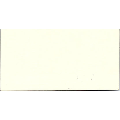 Orinoco Marine Surveyors & Consultants Capt. Salas P. Guayan VE-F Card SSB4-B13