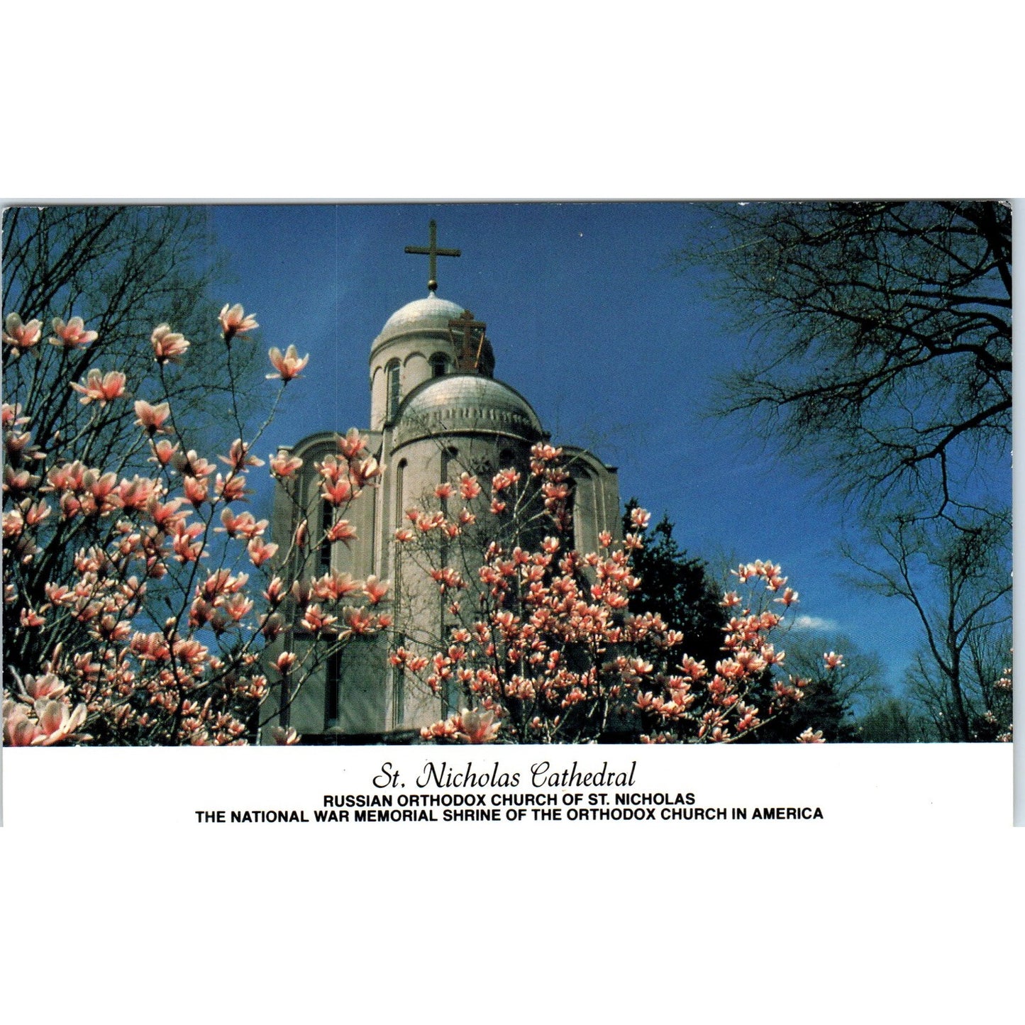 Russian Orthodox Church of St. Nicholas Cathedral Washington D.C. Postcard PE4