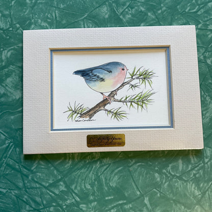 Chubby Blue Wren Bird 5x7 Matted Print Hand Watercolor, Signed Shar Coulson