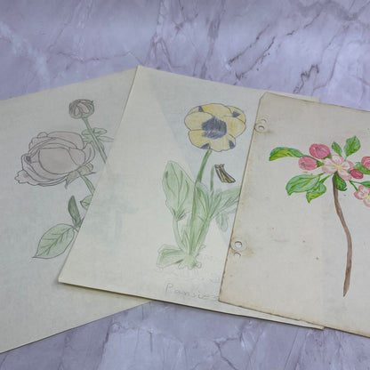 1940s Lot Flower Floral Sketches & Studies Winifred Schutsky Pratt Institute TC5