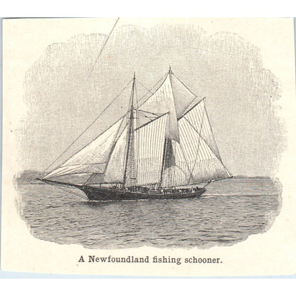 A Newfoundland Fishing Schooner 1901 Engraving AF2-P1