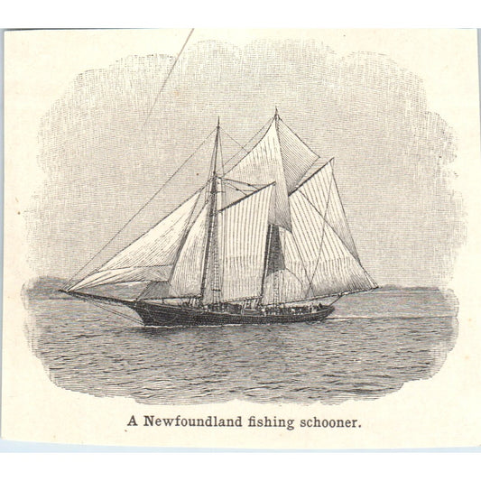 A Newfoundland Fishing Schooner 1901 Engraving AF2-P1