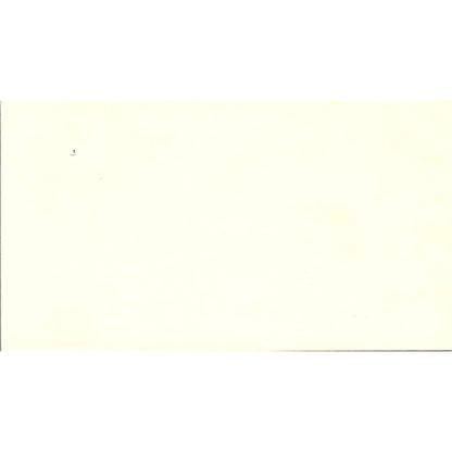 Cleaning Service , Norma Brown , Liz Wyatt ,Vintage Business Card SF3-B9