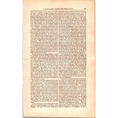 A Naturalist Among the Himalayas Dr. Hooker, James Ross 8 Pages 1854 Article I19