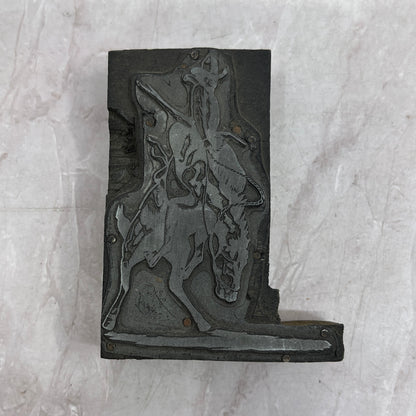 Cowboy Riding Horse Vintage Letterpress Printers Block Plate SF5