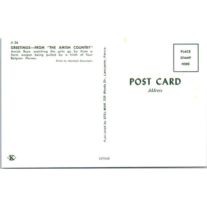 Amish Wagon With Four Belgian Horses Pennsylvania Dutch Country Postcard PD7