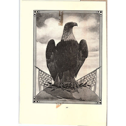 American Bald Eagle on Perch Patriotic Vintage Art Print 6x9 V12