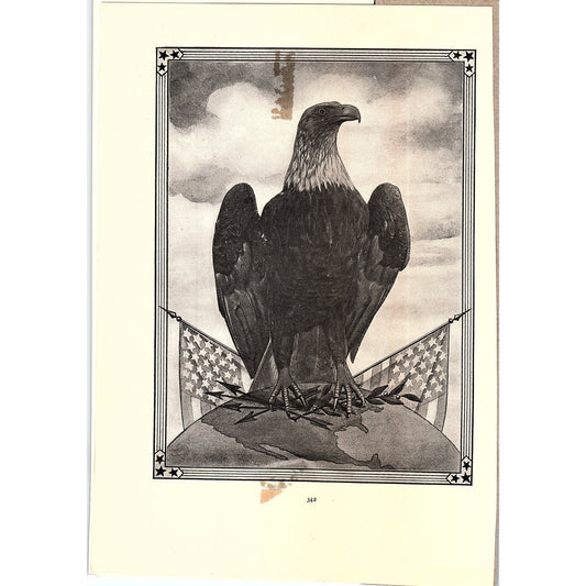 American Bald Eagle on Perch Patriotic Vintage Art Print 6x9 V12