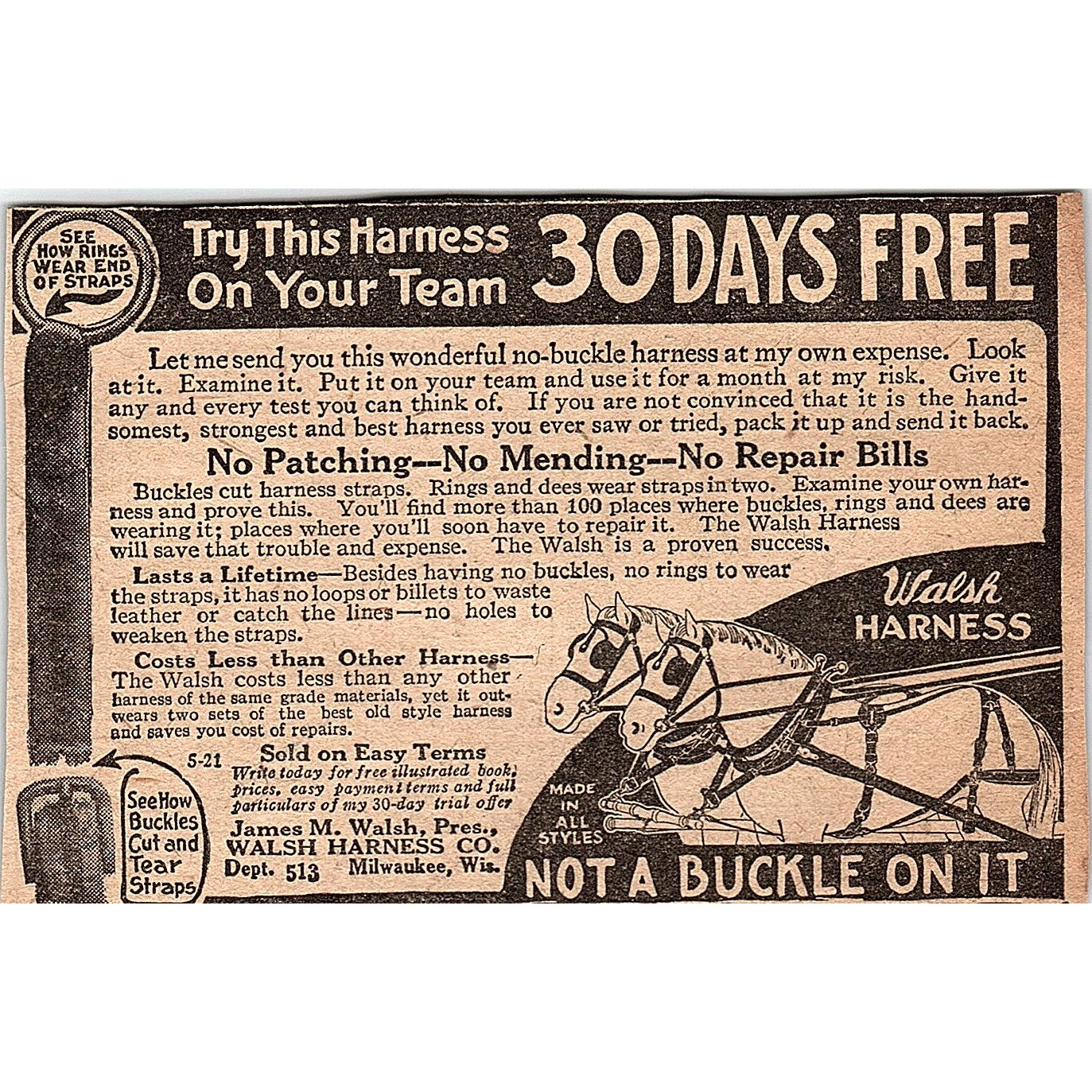 Walsh Harness - James M. Walsh Harness Co Milwaukee WI 1920 Ad AG2-6