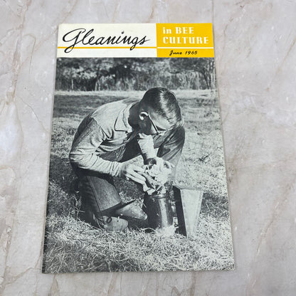 1965 June Gleanings in Bee Culture Magazine Bees Beekeeping Honey TD7